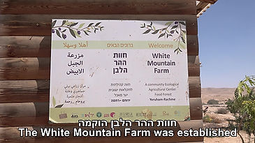 The White-hill Farm